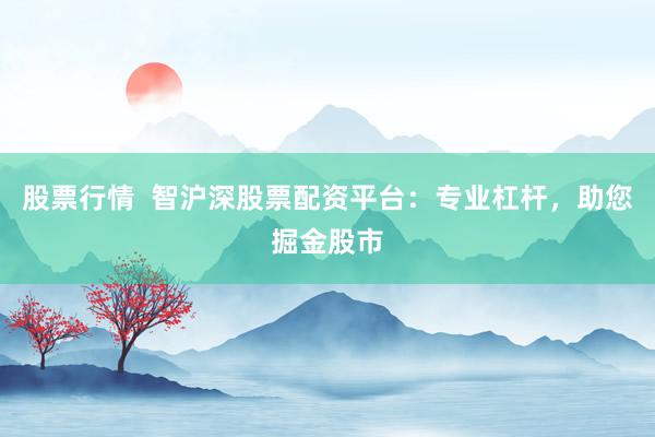 股票行情  智沪深股票配资平台：专业杠杆，助您掘金股市