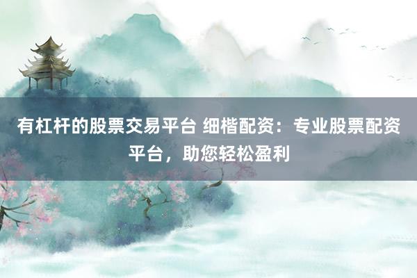 有杠杆的股票交易平台 细楷配资：专业股票配资平台，助您轻松盈利