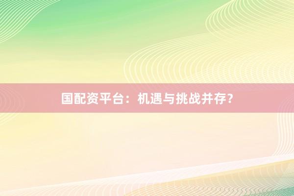国配资平台:机遇与挑战并存?