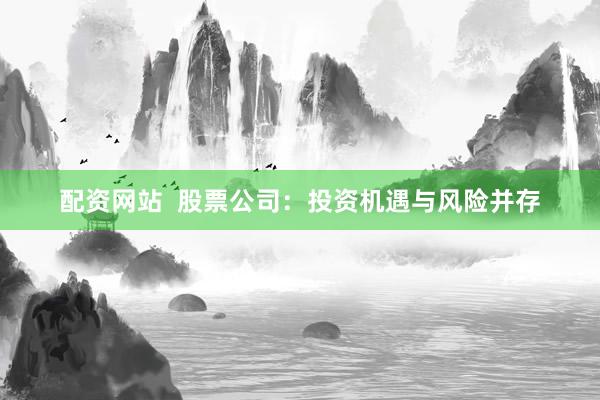 配资网站  股票公司：投资机遇与风险并存