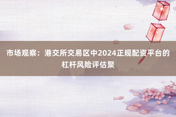 市场观察：港交所交易区中2024正规配资平台的杠杆风险评估聚