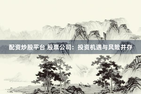 配资炒股平台 股票公司：投资机遇与风险并存