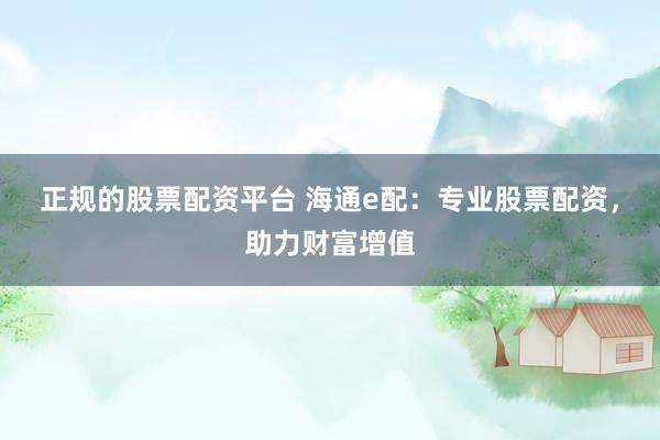 正规的股票配资平台 海通e配：专业股票配资，助力财富增值