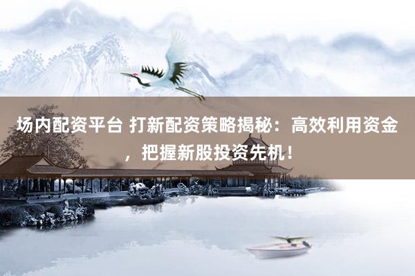 场内配资平台 打新配资策略揭秘：高效利用资金，把握新股投资先机！