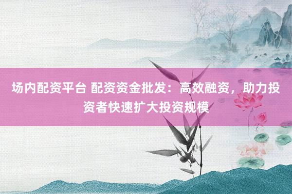 场内配资平台 配资资金批发：高效融资，助力投资者快速扩大投资规模