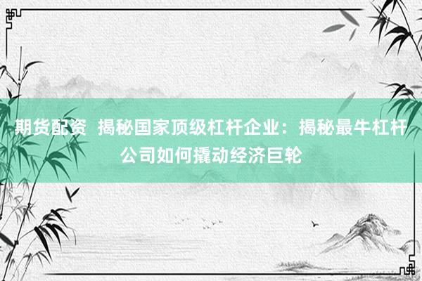 期货配资  揭秘国家顶级杠杆企业：揭秘最牛杠杆公司如何撬动经济巨轮