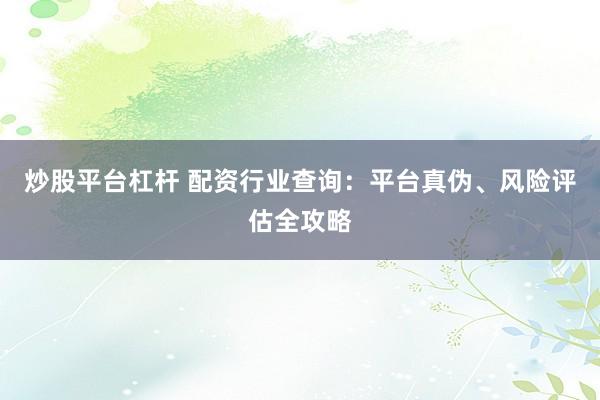 炒股平台杠杆 配资行业查询：平台真伪、风险评估全攻略
