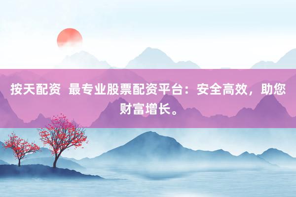 按天配资  最专业股票配资平台：安全高效，助您财富增长。