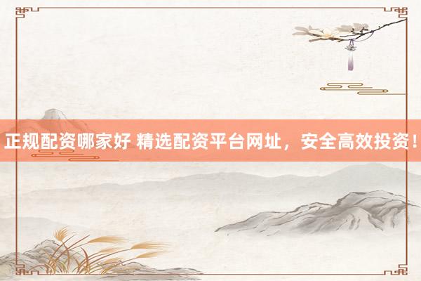 正规配资哪家好 精选配资平台网址，安全高效投资！
