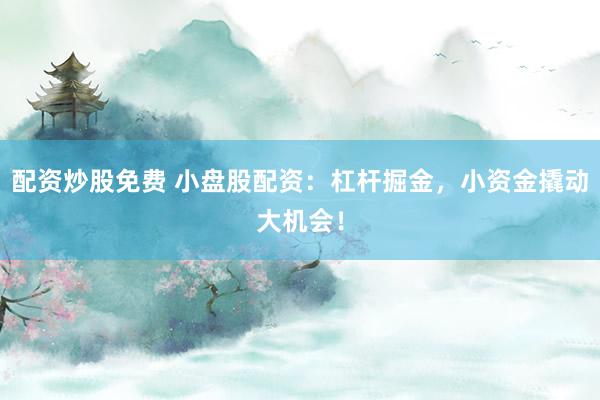 配资炒股免费 小盘股配资：杠杆掘金，小资金撬动大机会！